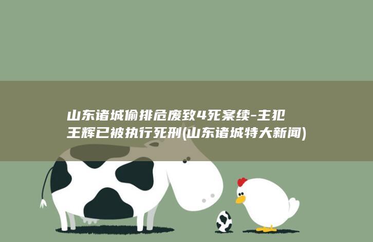 山东诸城偷排危废致4死案续-主犯王辉已被执行死刑 (山东诸城特大新闻)