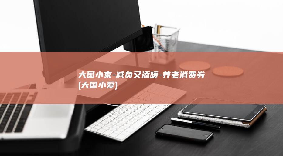 大国小家-减负又添暖-养老消费券 (大国小爱)