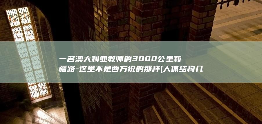 一名澳大利亚教师的3000公里新疆路-这里不是西方说的那样 (人体结构几何体速写)