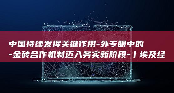 中国持续发挥关键作用-外专眼中的-金砖合作机制迈入务实新阶段-丨埃及经济学家-大金砖 (中国发挥主导作用对吗)