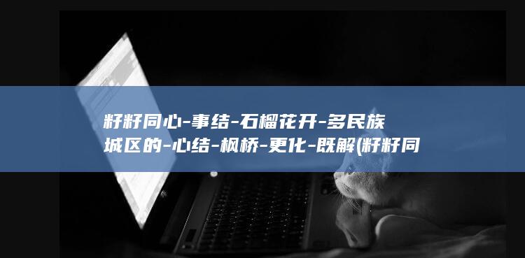 籽籽同心-事结-石榴花开-多民族城区的-心结-枫桥-更化-既解 (籽籽同心上一句)