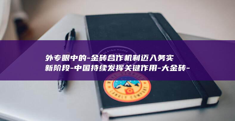 外专眼中的-金砖合作机制迈入务实新阶段-中国持续发挥关键作用-大金砖-丨埃及经济学家