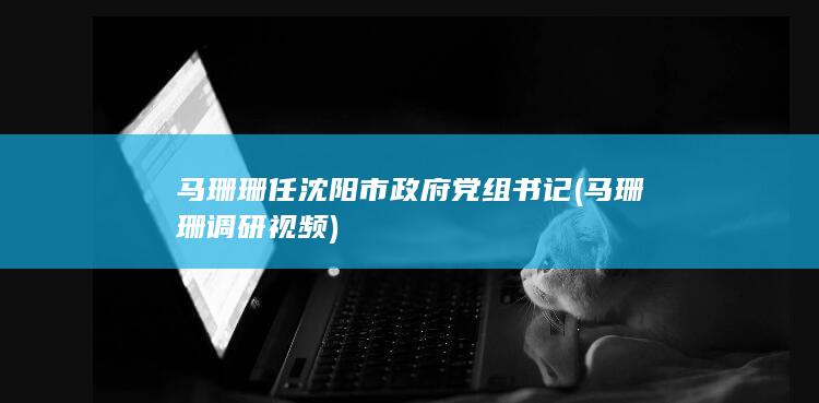 马珊珊任沈阳市政府党组书记 (马珊珊调研视频)