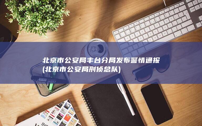 北京市公安局丰台分局发布警情通报 (北京市公安局刑侦总队)