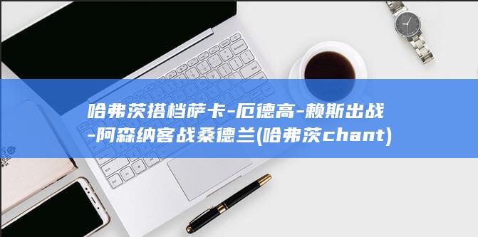 哈弗茨搭档萨卡-厄德高-赖斯出战-阿森纳客战桑德兰 (哈弗茨chant)
