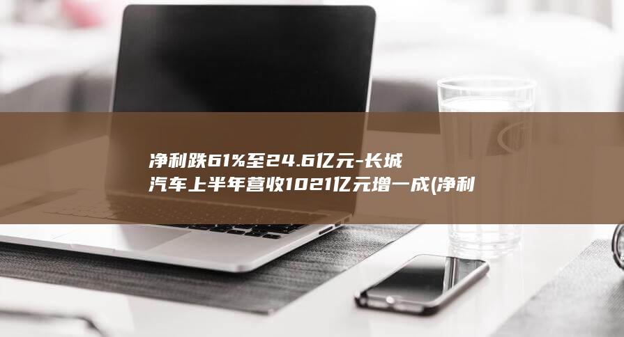 净利跌61%至24.6亿元