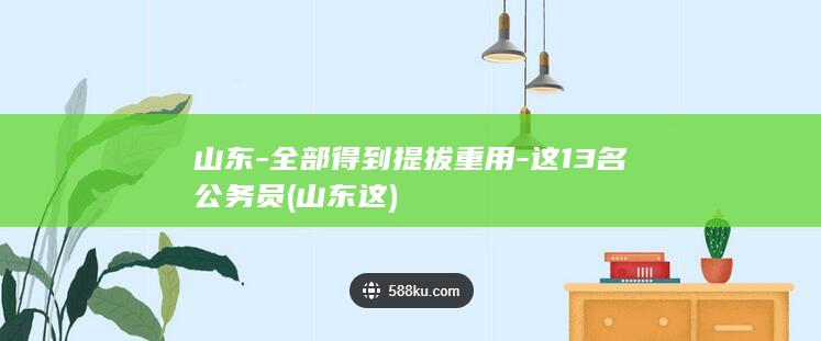 山东-全部得到提拔重用-这13名公务员 (山东这)