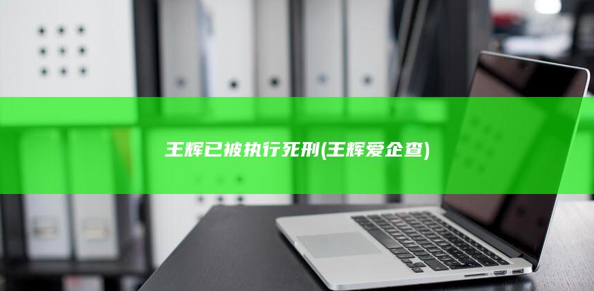 王辉已被执行死刑 (王辉爱企查)