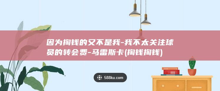 因为掏钱的又不是我-我不太关注球员的转会费-马雷斯卡 (掏钱掏钱)