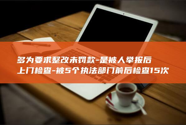 多为要求整改未罚款-是被人举报后上门检查-被5个执法部门前后检查15次-烧烤店店主回应 (提出整改要求)
