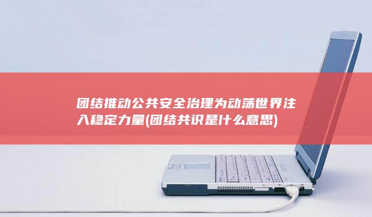 团结推动公共安全治理为动荡世界注入稳定力量 (团结共识是什么意思)
