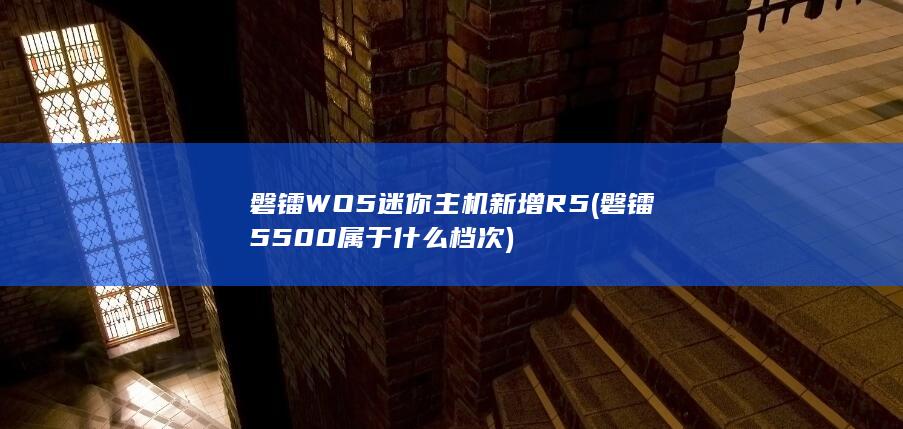 磐镭WO5迷你主机新增R5 (磐镭5500属于什么档次)