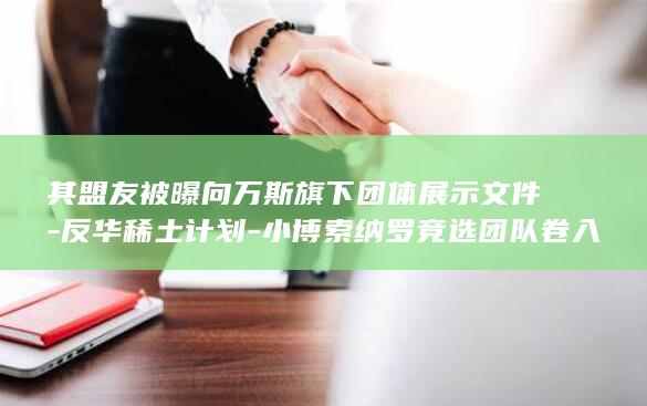 其盟友被曝向万斯旗下团体展示文件-反华稀土计划-小博索纳罗竞选团队卷入一份 (盟友是什么关系)