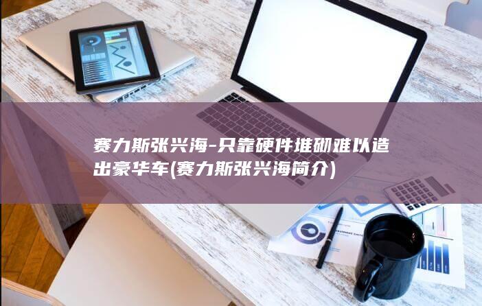 赛力斯张兴海-只靠硬件堆砌难以造出豪华车 (赛力斯张兴海简介)