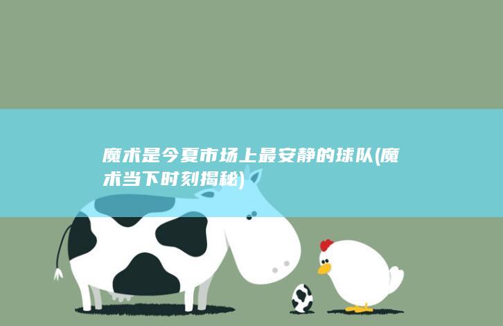 魔术是今夏市场上最安静的球队 (魔术当下时刻揭秘)