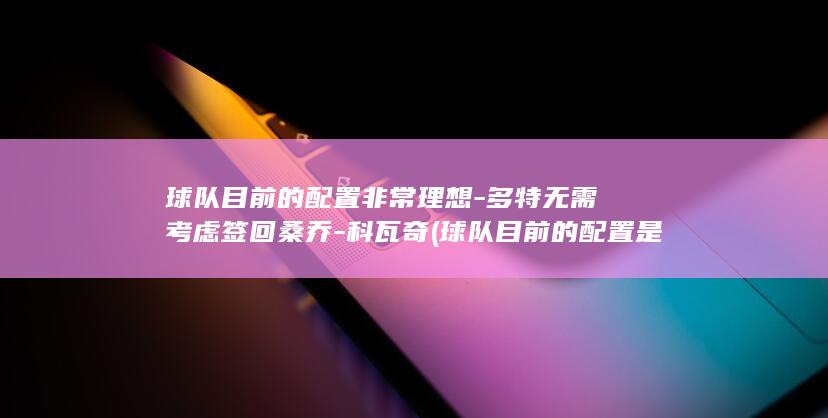球队目前的配置非常理想-多特无需考虑签回桑乔-科瓦奇 (球队目前的配置是什么)