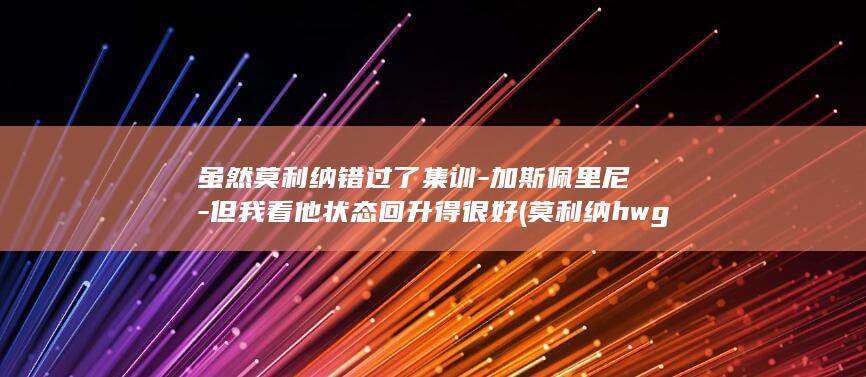 虽然莫利纳错过了集训-加斯佩里尼-但我看他状态回升得很好 (莫利纳hwg)