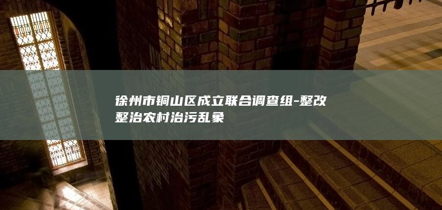 徐州市铜山区成立联合调查组-整改整治农村治污乱象