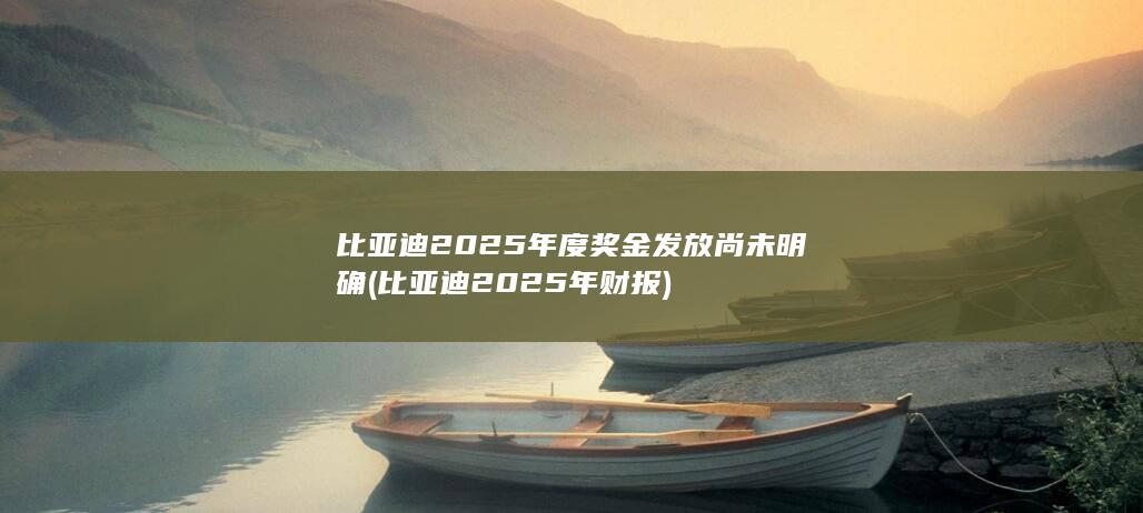 比亚迪2025年度奖金发放尚未明确 (比亚迪2025年财报)