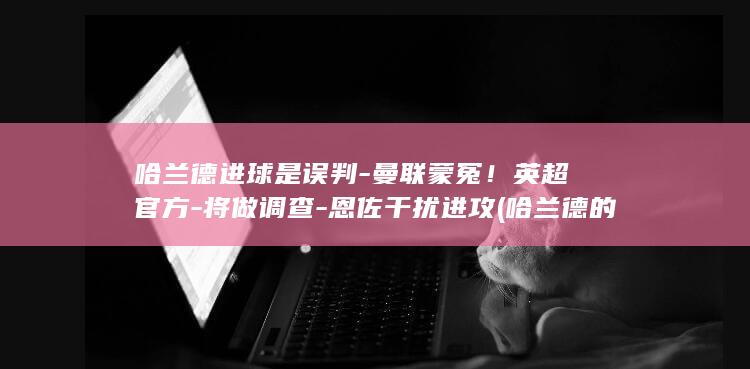 进球是误判蒙冤英超官方将做调查恩佐