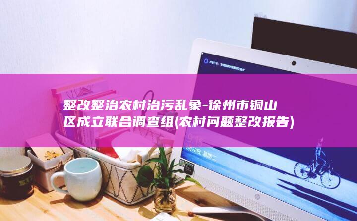 整改整治农村治污乱象-徐州市铜山区成立联合调查组 (农村问题整改报告)