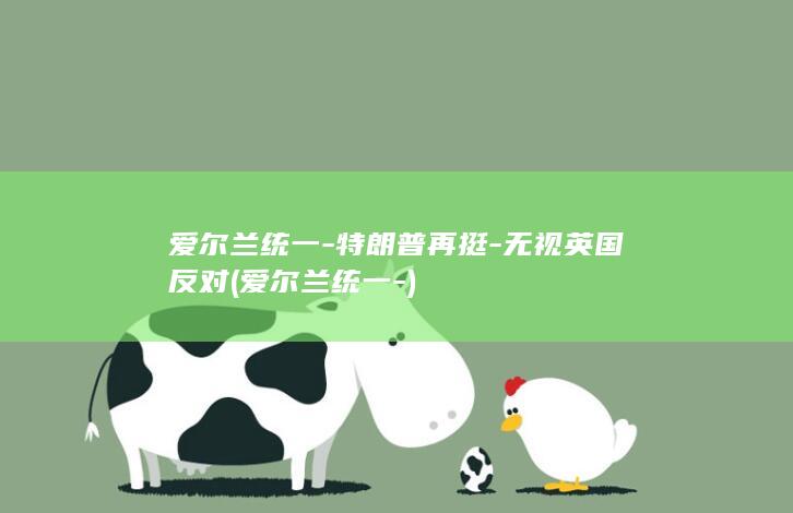 爱尔兰统一