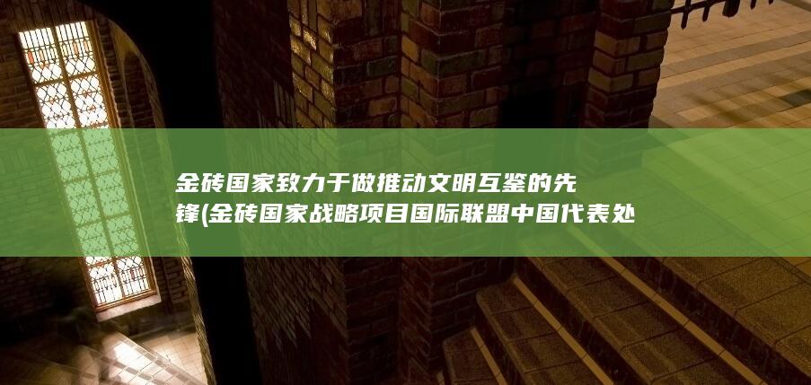 金砖国家致力于做推动文明互鉴的先锋 (金砖国家战略项目国际联盟中国代表处)