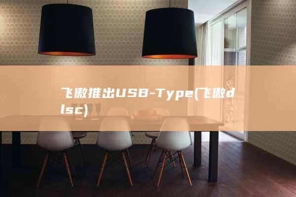 飞傲推出USB-Type (飞傲dlsc)