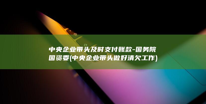 中央企业带头及时支付账款-国务院国资委 (中央企业带头做好清欠工作)