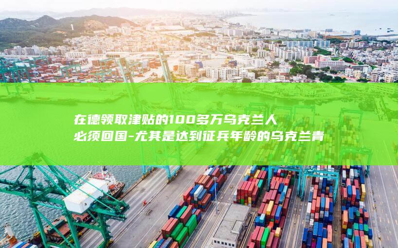 在德领取津贴的100多万乌克兰人必须回国-尤其是达到征兵年龄的乌克兰青年-德国选择党领导人魏德尔