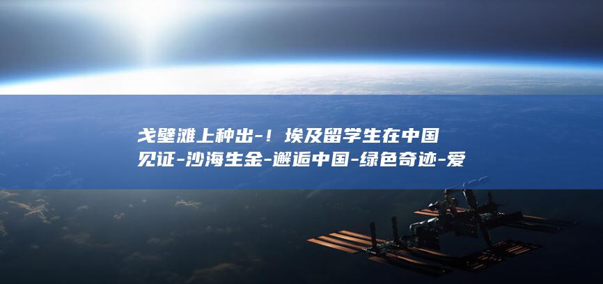 戈壁滩上种出-！埃及留学生在中国见证-沙海生金-邂逅中国-绿色奇迹-爱上中国 (戈壁滩种出小麦)