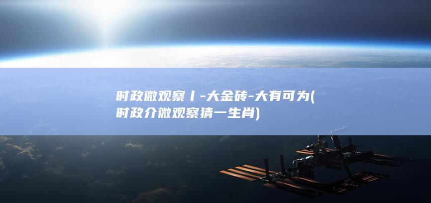 时政微观察丨-大金砖-大有可为 (时政介微观察猜一生肖)