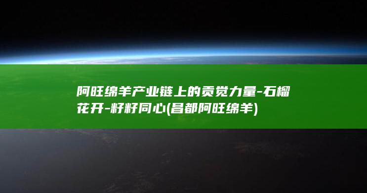 阿旺绵羊产业链上的贡觉力量-石榴花开-籽籽同心 (昌都阿旺绵羊)