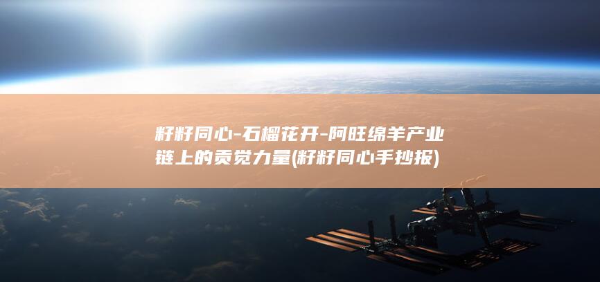籽籽同心-石榴花开-阿旺绵羊产业链上的贡觉力量 (籽籽同心手抄报)