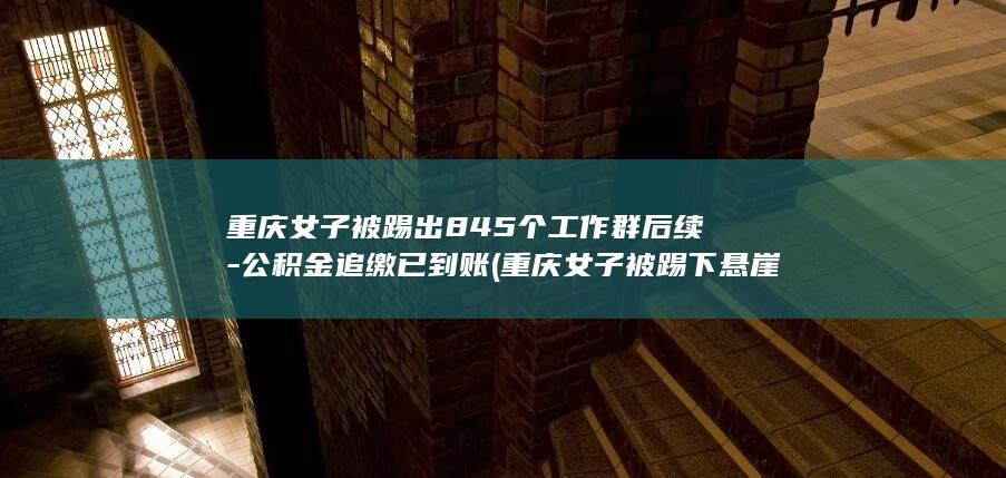 重庆女子被踢出845个工作群后续-公积金追缴已到账 (重庆女子被踢下悬崖)
