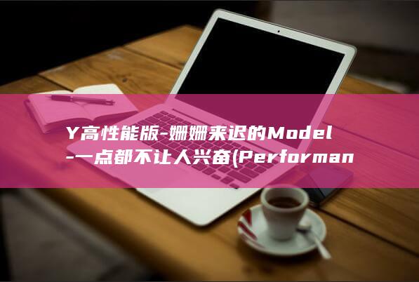 Y高性能版-姗姗来迟的Model-一点都不让人兴奋 (Performance高性能版)