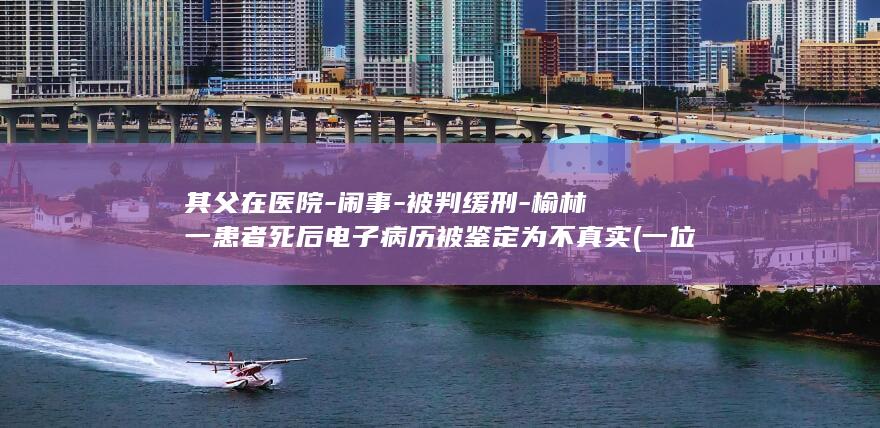 其父在医院-闹事-被判缓刑-榆林一患者死后电子病历被鉴定为不真实 (一位父亲由于医院不能提供)