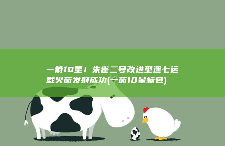 一箭10星！朱雀二号改进型遥七运载火箭发射成功 (一箭10星标包)