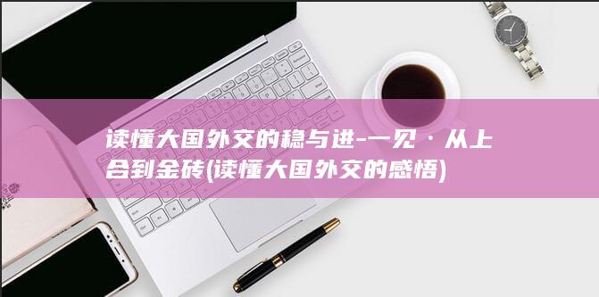 读懂大国外交的稳与进-一见·从上合到金砖 (读懂大国外交的感悟)
