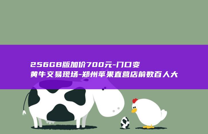 256GB版加价700元-门口变黄牛交易现场-郑州苹果直营店前数百人大排长队-iPhone18正式开售-512GB版加价600元 (256GB版本)