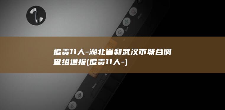 追责11人-湖北省和武汉市联合调查组通报 (追责11人-)
