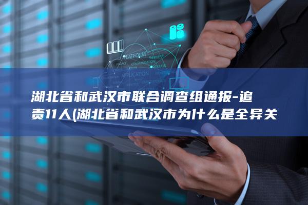 湖北省和武汉市联合调查组通报-追责11人 (湖北省和武汉市为什么是全异关系)