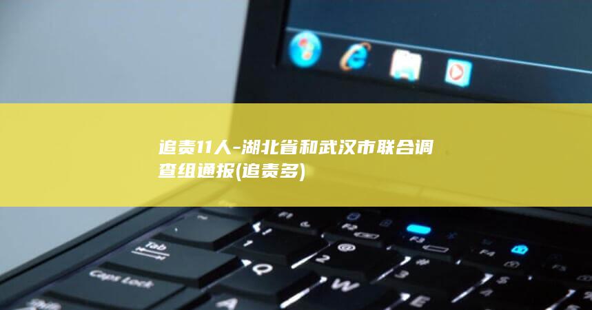追责11人-湖北省和武汉市联合调查组通报 (追责多)