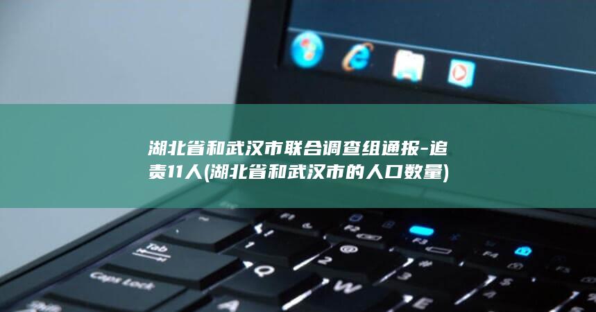 湖北省和武汉市联合调查组通报-追责11人 (湖北省和武汉市的人口数量)