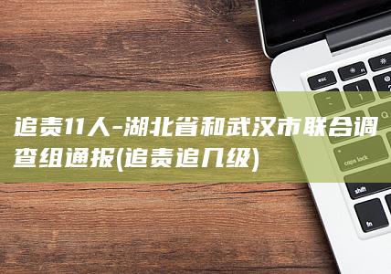 追责11人-湖北省和武汉市联合调查组通报 (追责追几级)