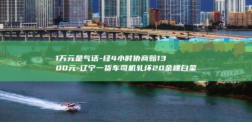 1万元是气话-经4小时协商赔1300元-辽宁一货车司机轧坏20余棵白菜遭索赔1万元-他轧坏白菜第一时间想跑-保险评估损失三四百元-菜主 (1万元荮)
