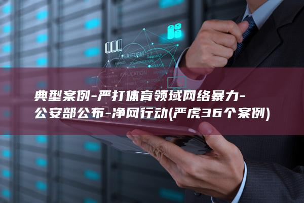 典型案例-严打体育领域网络暴力-公安部公布-净网行动 (严虎36个案例)