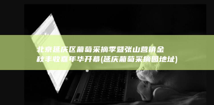 北京延庆区葡萄采摘季暨张山营镇金秋丰收嘉年华开幕 (延庆葡萄采摘园地址)