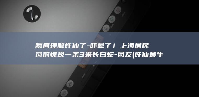 瞬间理解许仙了-吓晕了！上海居民窗前惊现一条3米长白蛇-网友 (许仙最牛一句话)