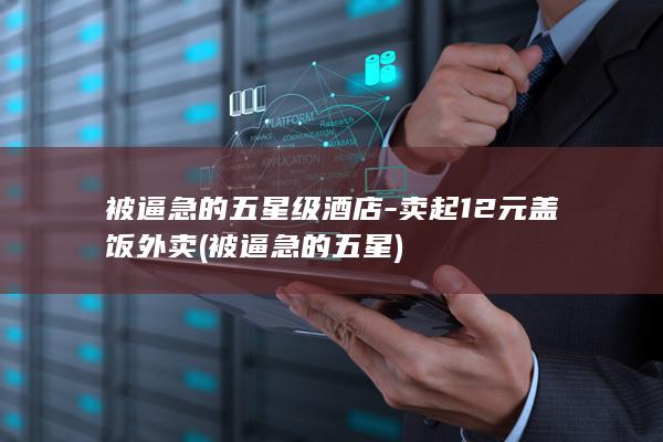 被逼急的五星级酒店-卖起12元盖饭外卖 (被逼急的五星)